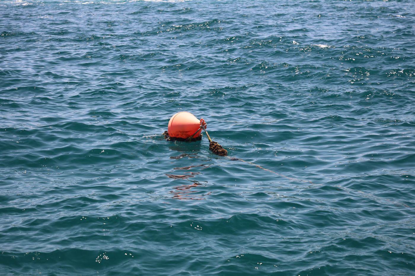 An orange monitoring buoy floating in clear blue ocean water